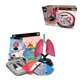 Set profesional de sistema r ...
