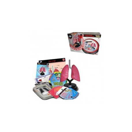 Set profesional de sistema r ...