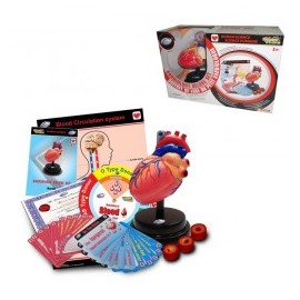 Set profesional de Cardiolog ...