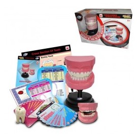 Set profesional de Odontolog ...