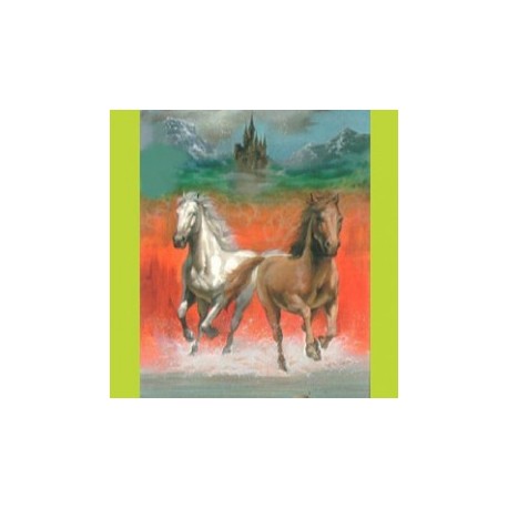 Caballos 100 piezas