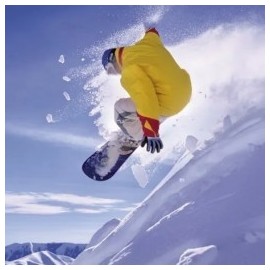 500  pzs Snowboard