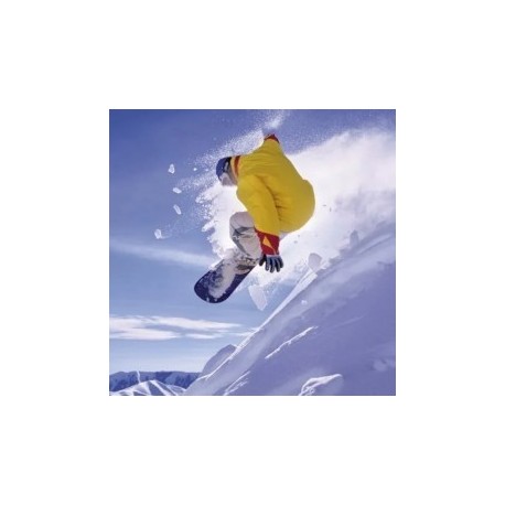 500  pzs Snowboard