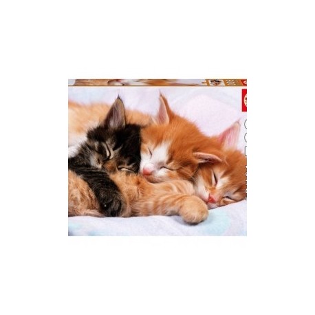 500 pzs Gatitos